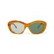 GREYHOUND color photochromic