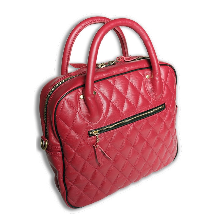 PADDED BRIEF BAG
