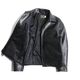 Humming Bird Jacket Genuine Horsehide