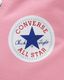 CANVAS ALL STAR J HI
