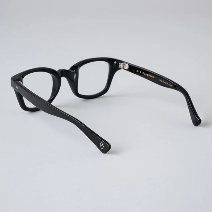 BIG BLUEBIRD -Photochromic