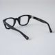 BIG BLUEBIRD -Photochromic
