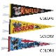 SOUVENIR PENNANT