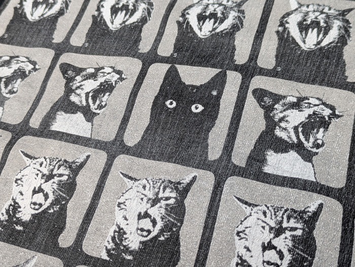 HARD SP�ù�20/ ŷ������T��A HARD CATS NIGHT��
