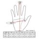 LAMP GLOVES -UTILITY GLOVE STANDARD-