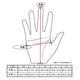 LAMP GLOVES -UTILITY GLOVE SHORTY - TIGER