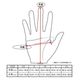 LAMP GLOVES -UTILITY GLOVE MID- GREIGE