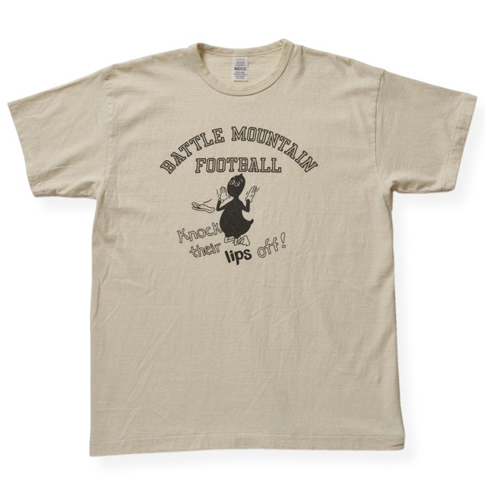 Lot 4064 BATTLE MOUNTAIN