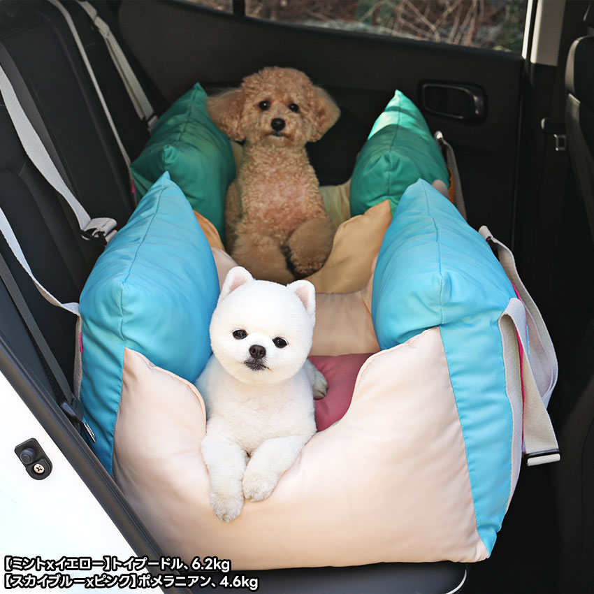 キャンディポップドライブベッド | ドライブベッド・アウトドア用品