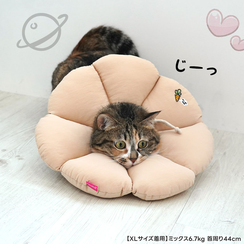 楽々フラワーエリザベスカラー | エリザベスカラー | ダブルシスターズ