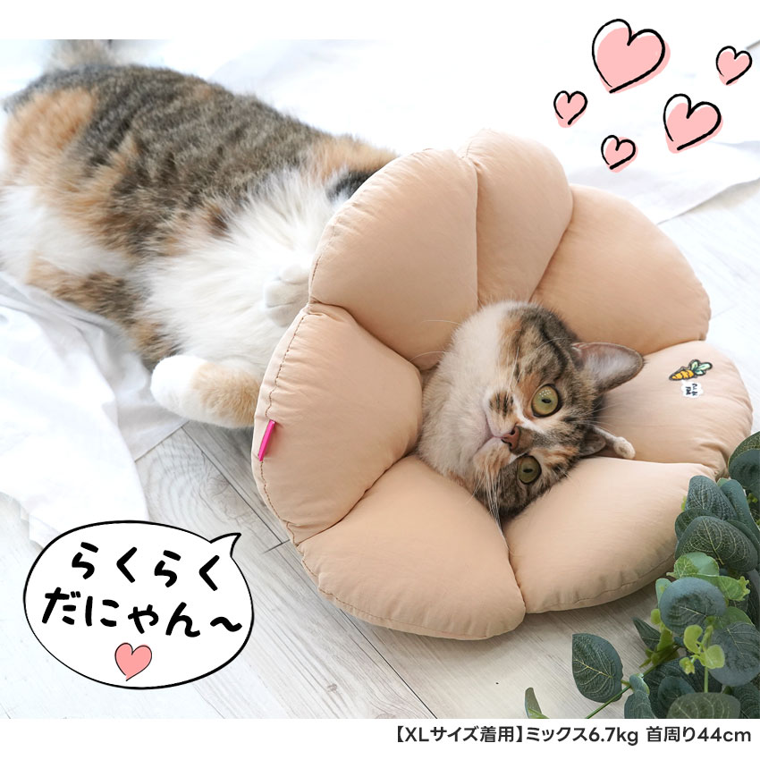 楽々フラワーエリザベスカラー | エリザベスカラー | ダブルシスターズ