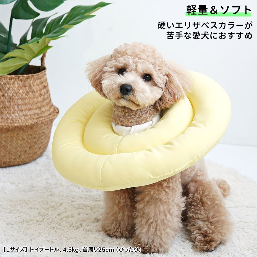 エリザベス ホロカ】エリザベス・ローズ・ブラッドフレイム【C】hBP04-087 - C