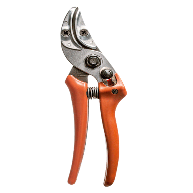 LOWE16107 剪定バサミ　フラワー用