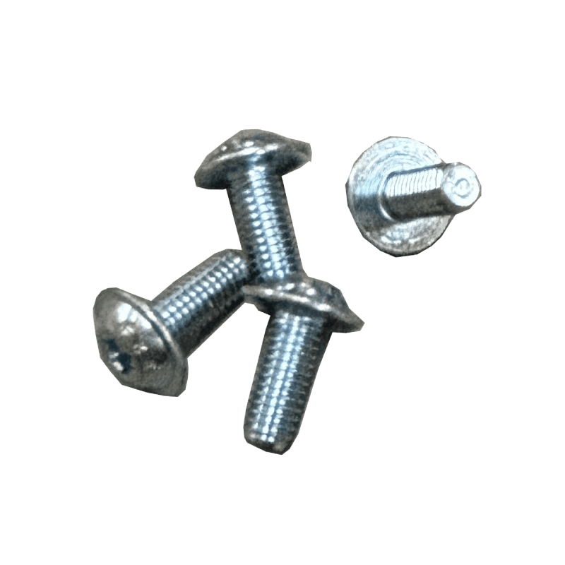 BASTING ECOVAL用 スクリュM5×12 4本セット