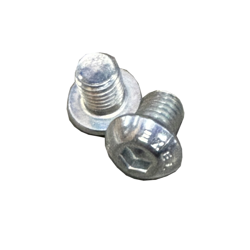 BASTING ECOVAL用 スクリュM10×12 2本セット