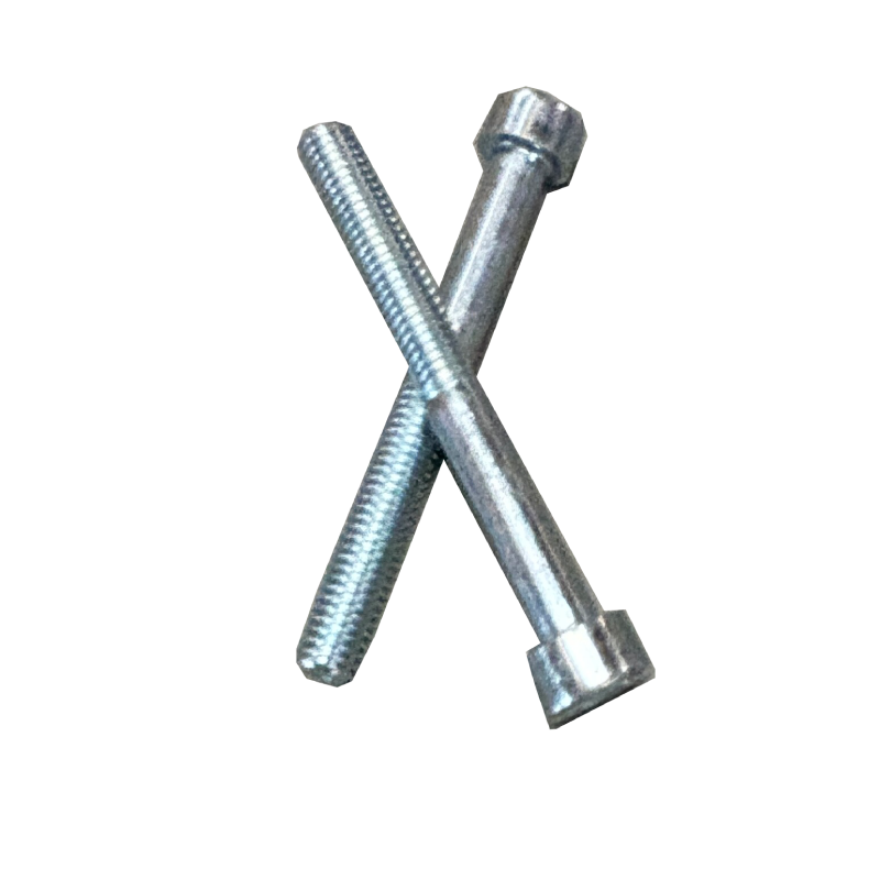 BASTING VALFAST用 スクリュー 2本セット 