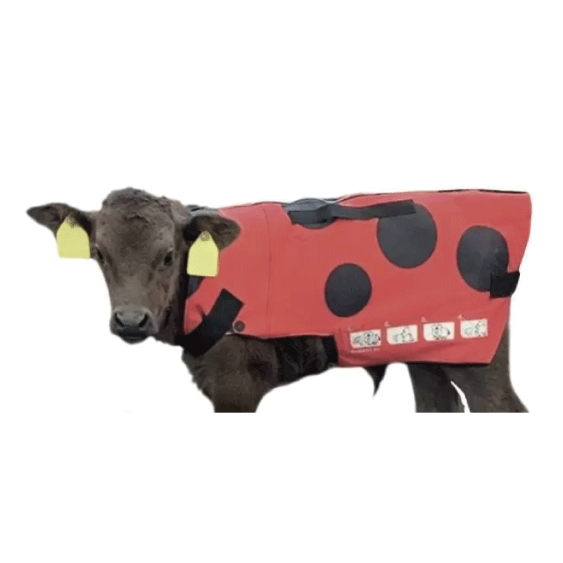 仔牛用防寒コートモーっとほっと