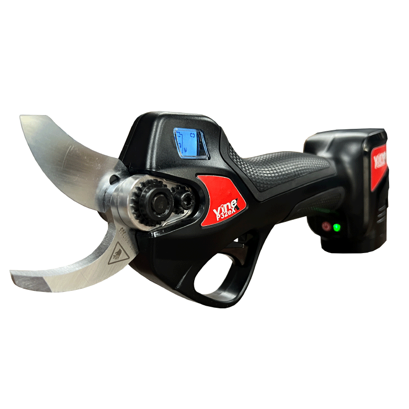 ひさしページ main-xk664.jpg