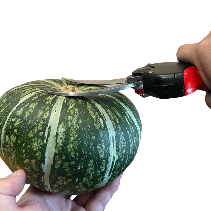 専用ページ 5個 スピードと軽さのシューズ 「WAVE EXCEED 5」に新カラー登場