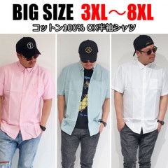 3XL8XLŸ Ⱦµ̵ϥå