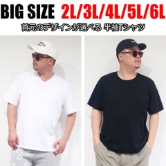 大きいサイズ 程よいフィット感のテレコ半袖Tシャツ