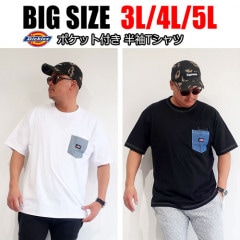 Dickies ディッキーズ 胸ポケット半袖Tシャツ
