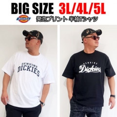 Dickies ディッキーズ 発泡プリント半袖Tシャツ