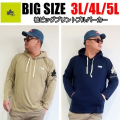 LOGOS Park Tシャツ素材の袖ビッグプリントプルパーカー