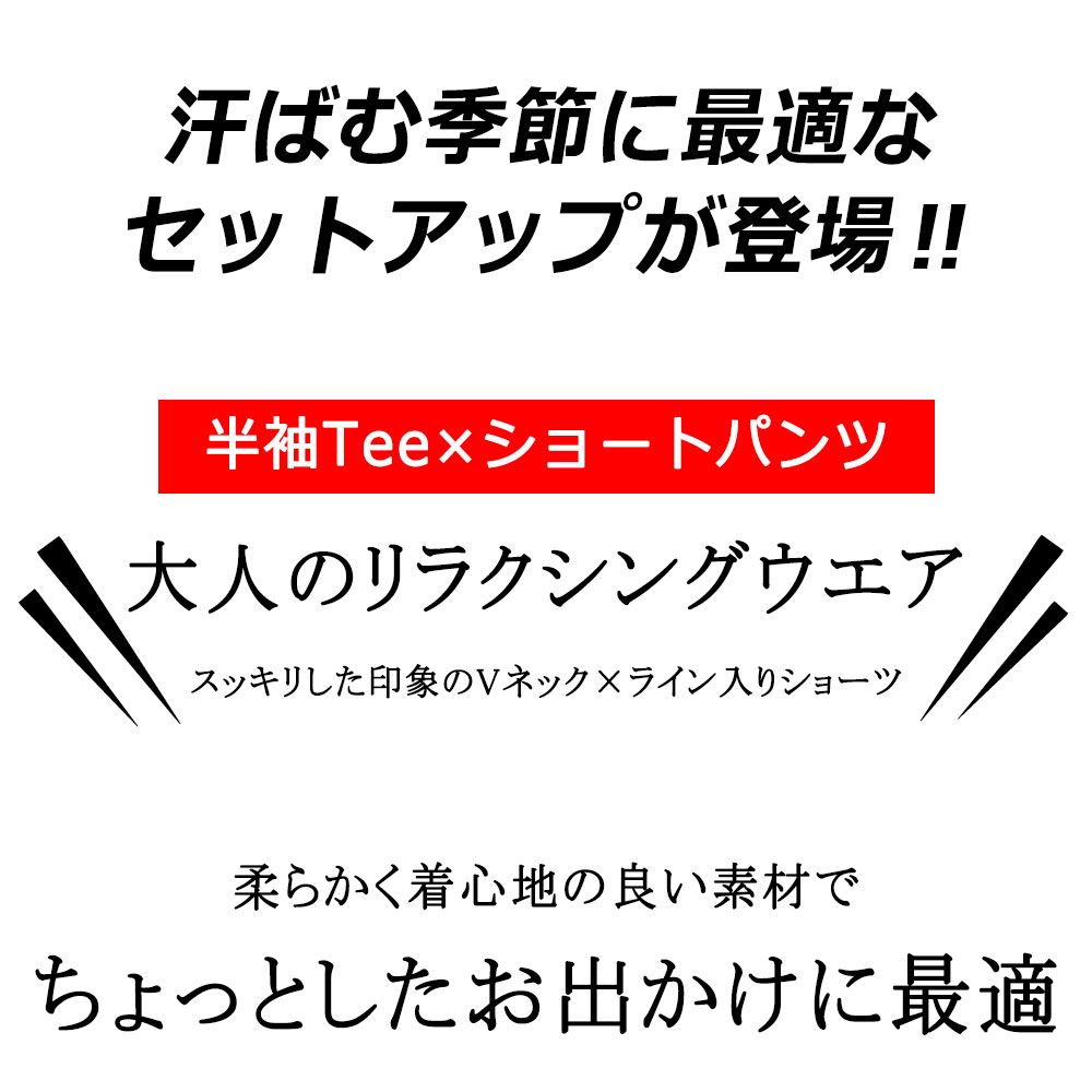 VͥåȾµߥ硼ȥѥ åȥå