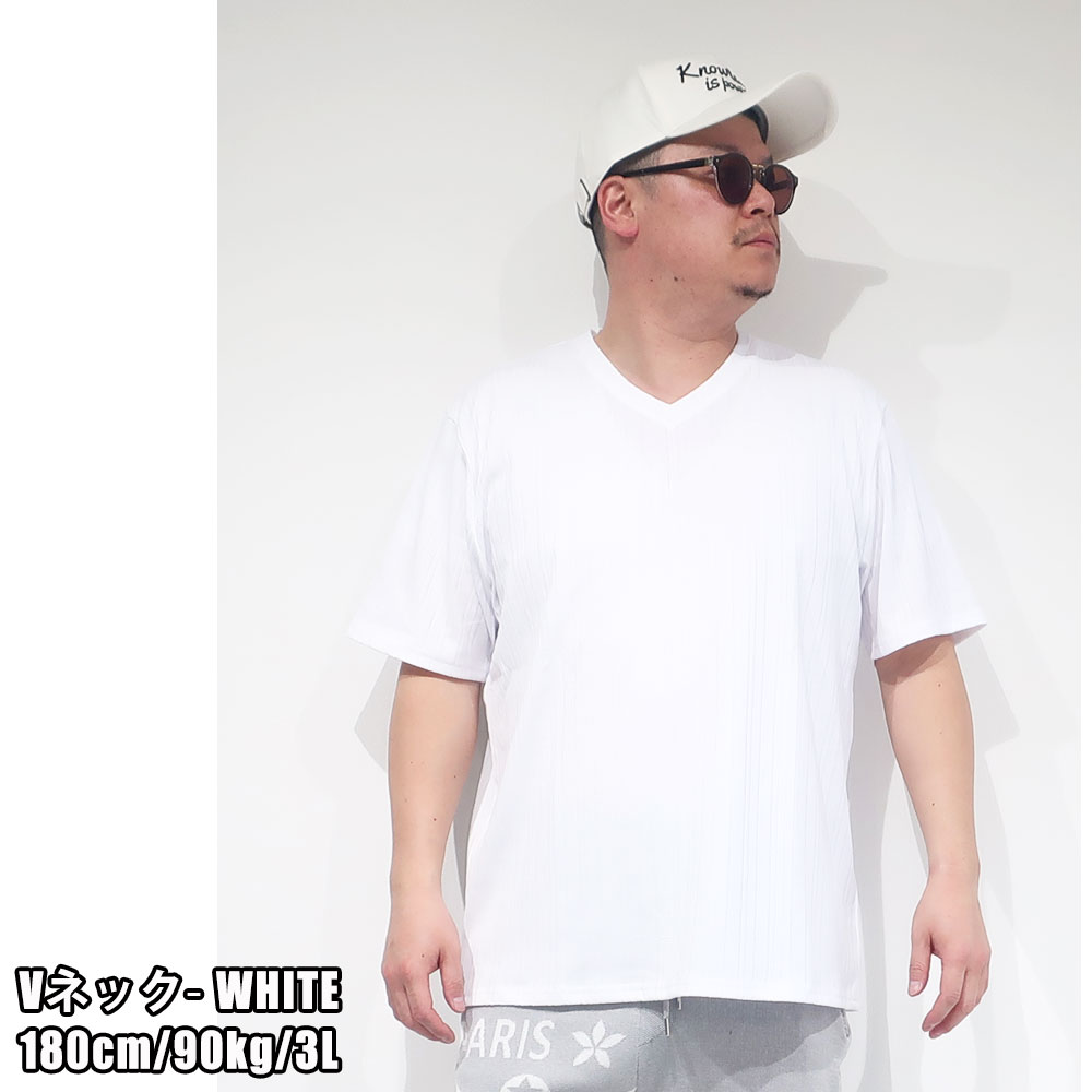 礭 褤եåȴΥƥ쥳ȾµT