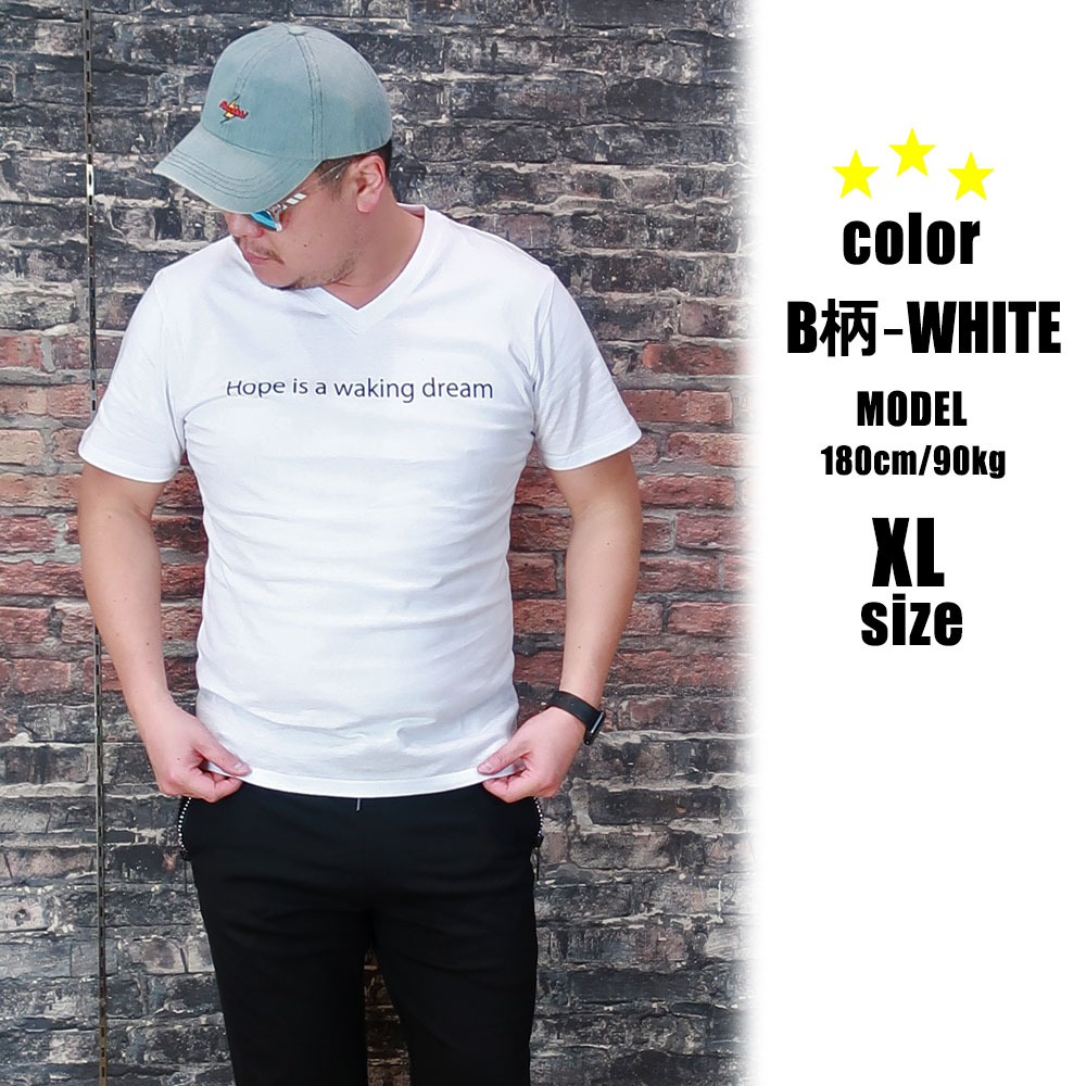 6���������٤�ץ���ȾµT�����