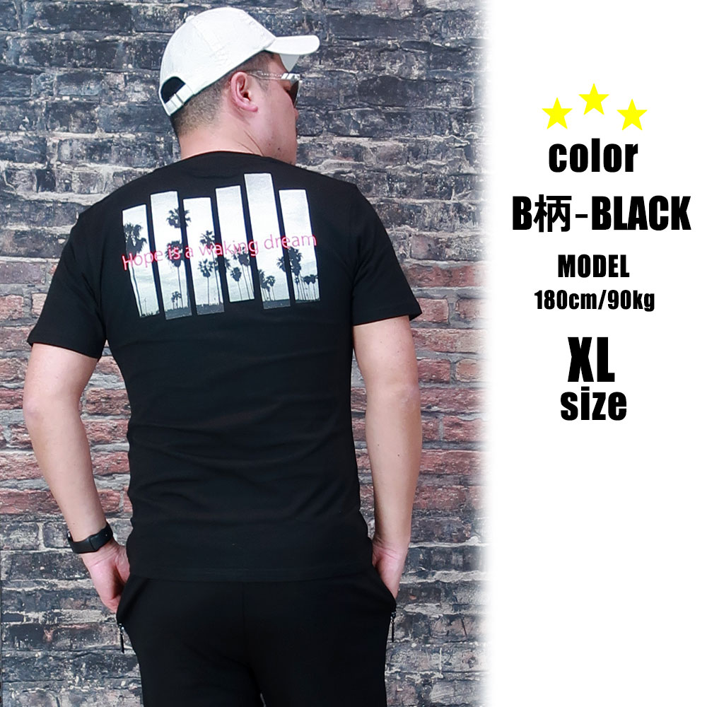 6���������٤�ץ���ȾµT�����