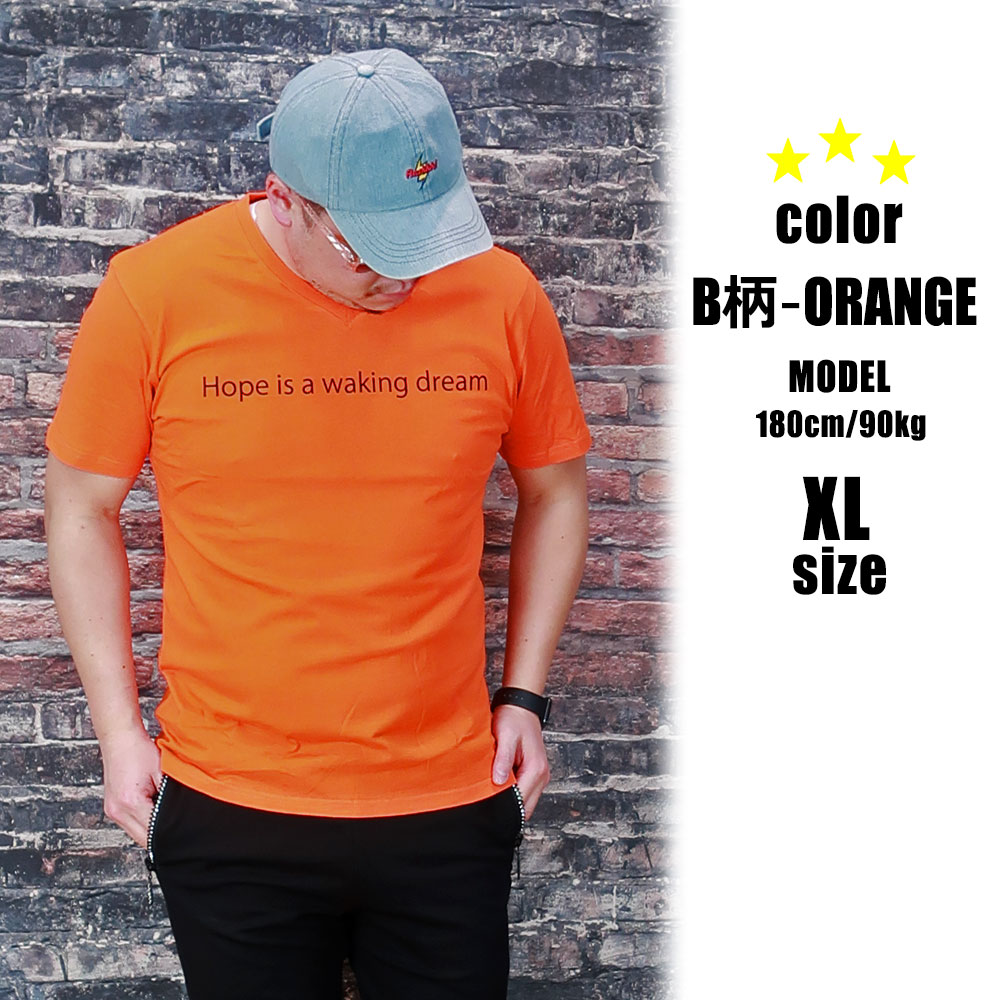 6���������٤�ץ���ȾµT�����