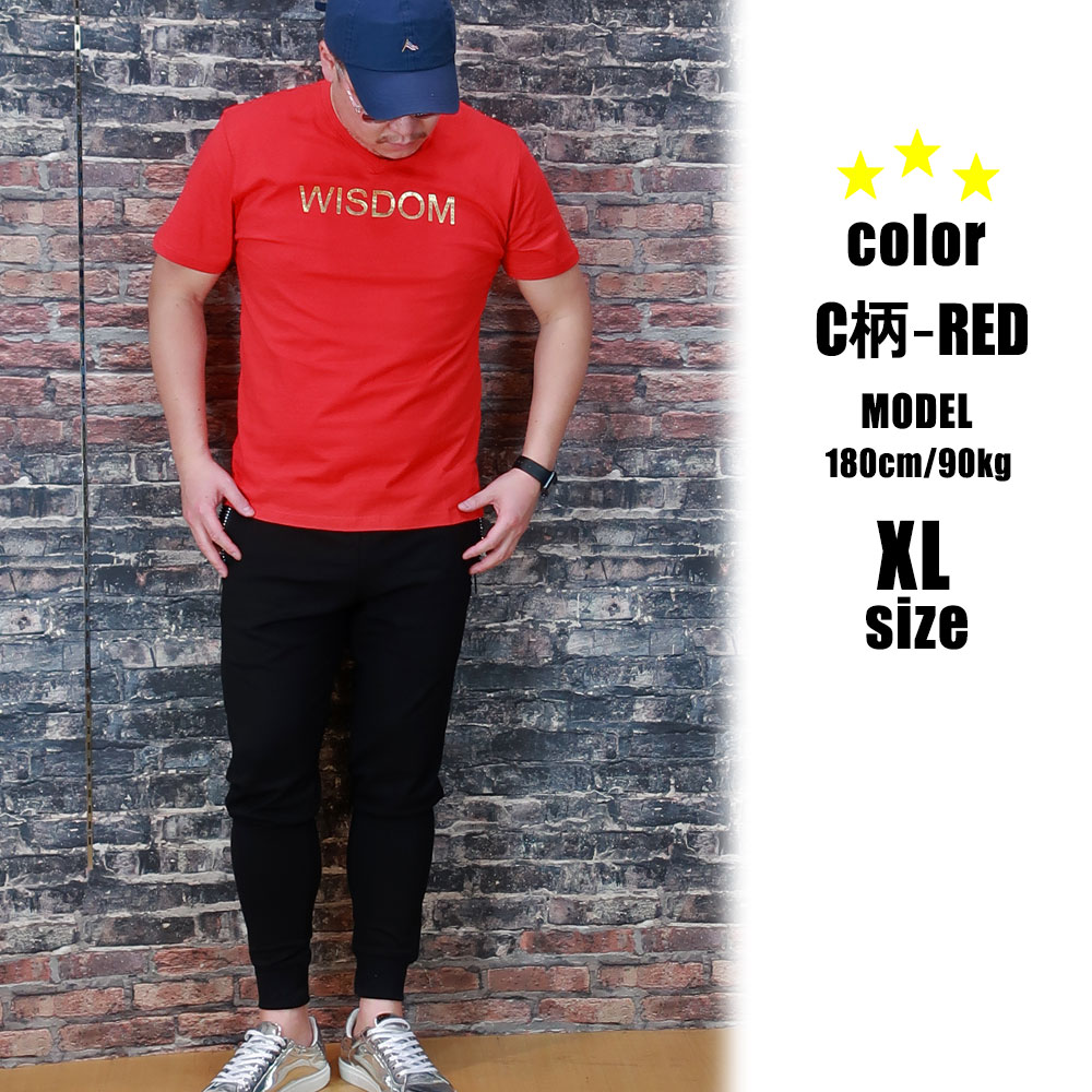 6���������٤�ץ���ȾµT�����