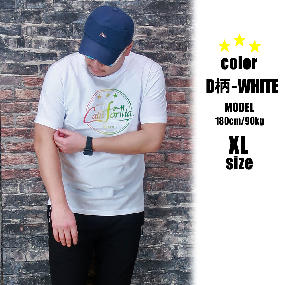 6���������٤�ץ���ȾµT�����