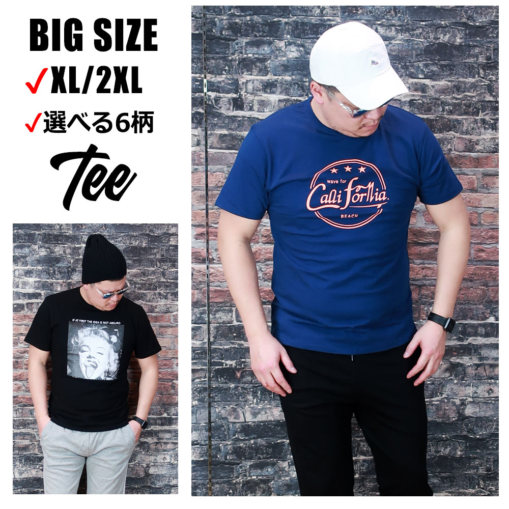 6���������٤�ץ���ȾµT�����