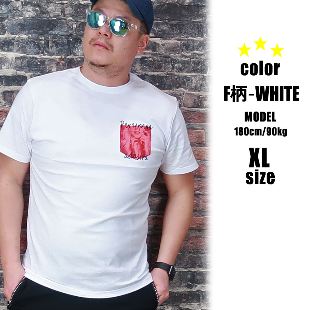 6���������٤�ץ���ȾµT�����