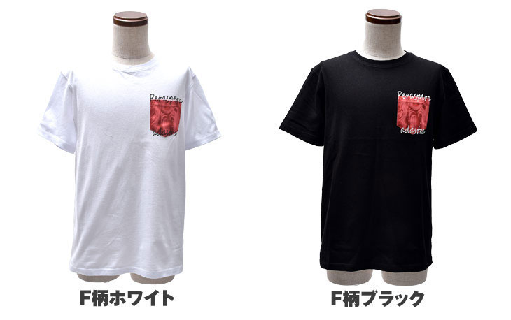 6���������٤�ץ���ȾµT�����