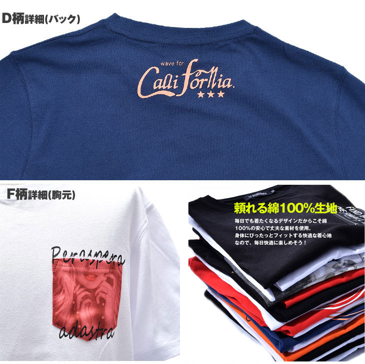 6���������٤�ץ���ȾµT�����