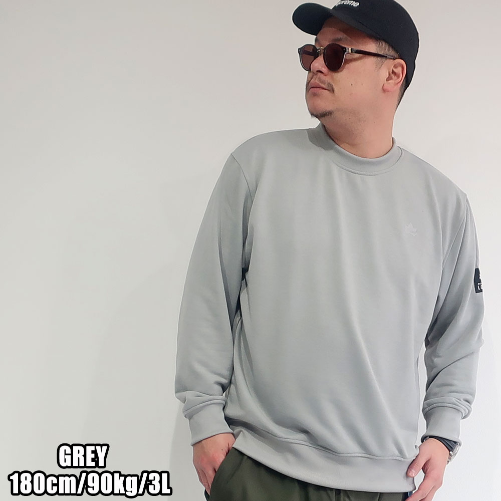 LOGOS ۴®ɥ饤Ǻȥ졼ʡ