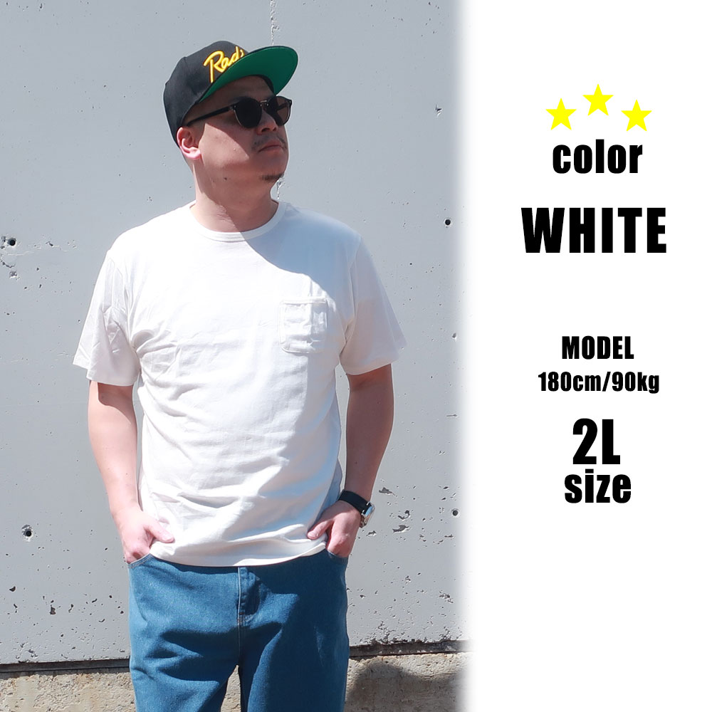 ���åȥ�100��Υ��դʥܥǥ����Ρ�CREW NECK POCKET TEE��