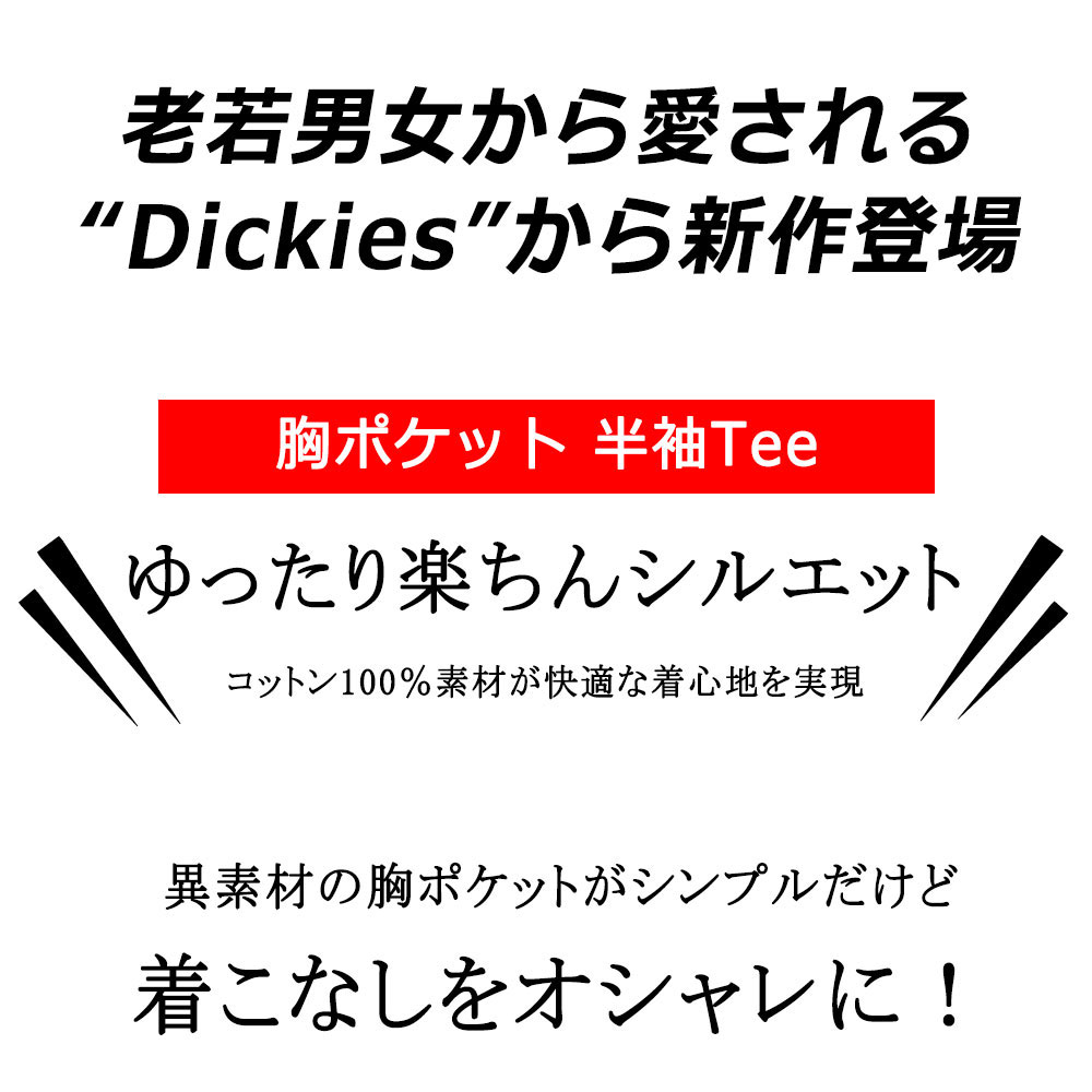 Dickies ǥå ݥåȾµԥ