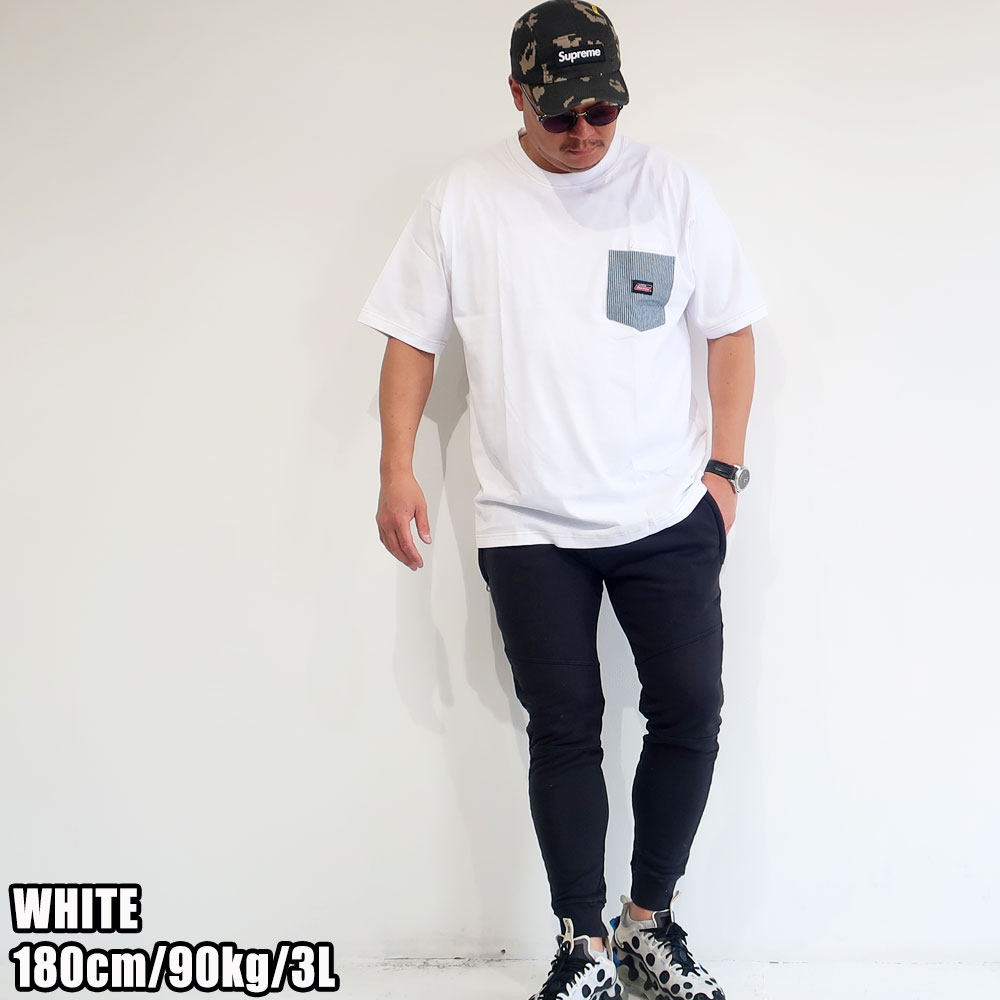 Dickies ǥå ݥåȾµԥ