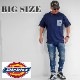 Dickies ǥå ݥåȾµԥ