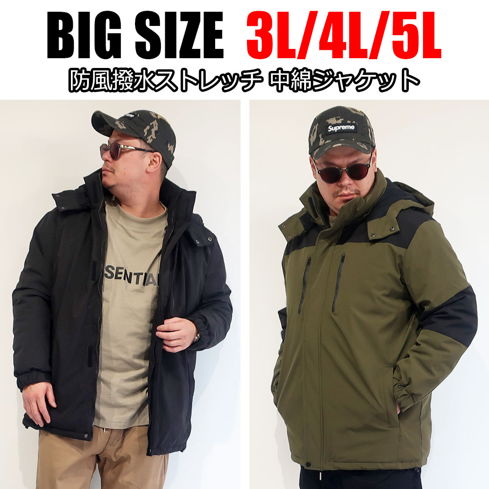 ���餵�줿�ǥ�����ȵ�ǽ�����ͤ����������ʥ��㥱�å�