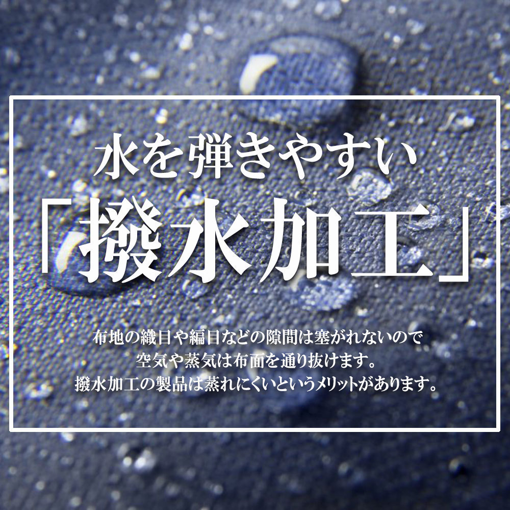 ���餵�줿�ǥ�����ȵ�ǽ�����ͤ����������ʥ��㥱�å�