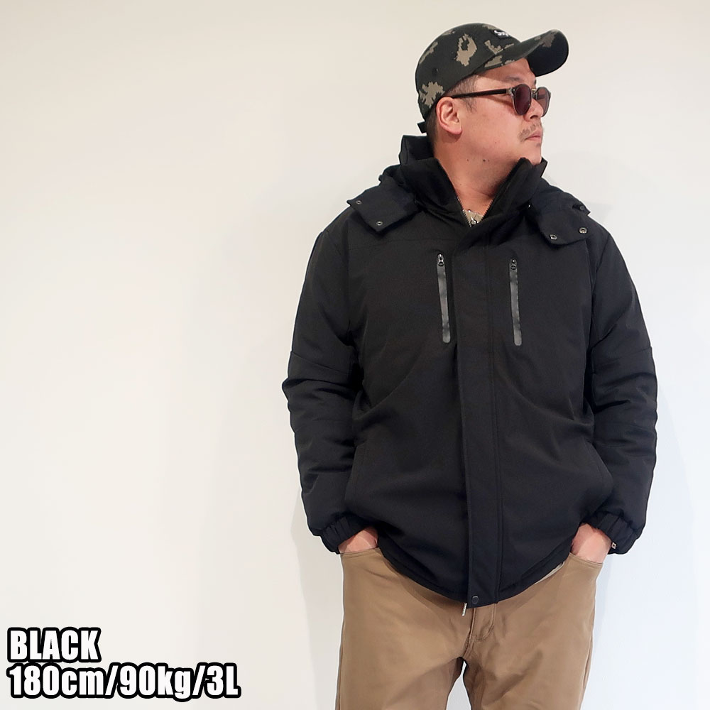 ���餵�줿�ǥ�����ȵ�ǽ�����ͤ����������ʥ��㥱�å�