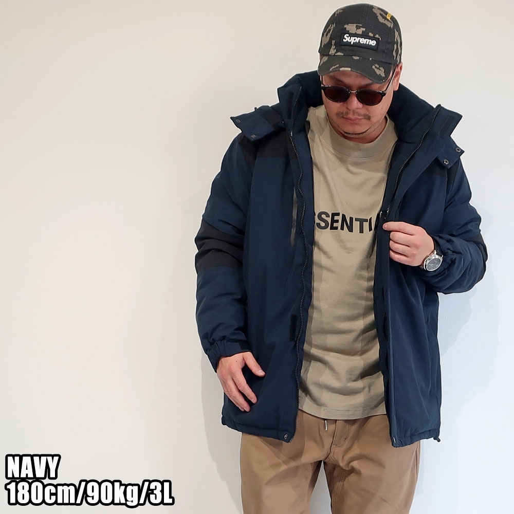 ���餵�줿�ǥ�����ȵ�ǽ�����ͤ����������ʥ��㥱�å�