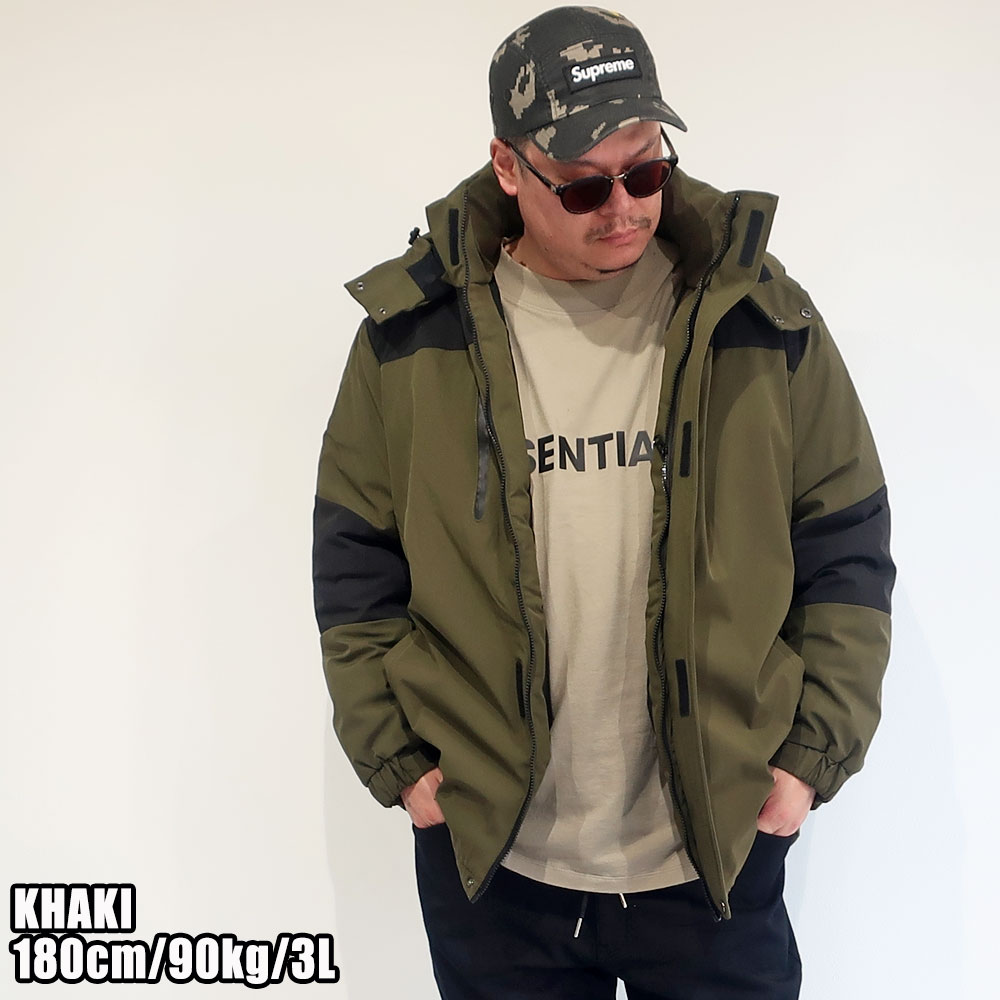 ���餵�줿�ǥ�����ȵ�ǽ�����ͤ����������ʥ��㥱�å�