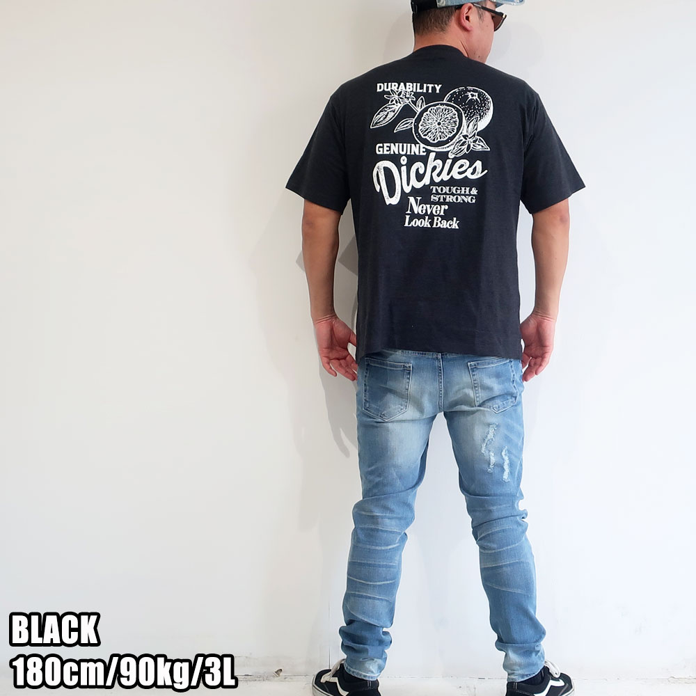 Dickies �ǥ��å����� ���٤�ǥ�����ȾµT�����